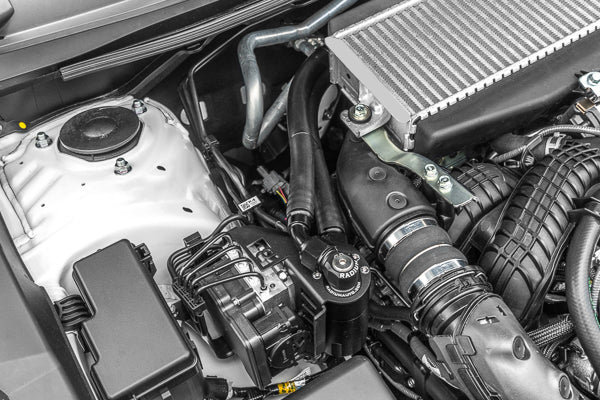 Radium - Dual PCV/CCV Fluid Lock Catch Can Kit - WRX VB (22+)