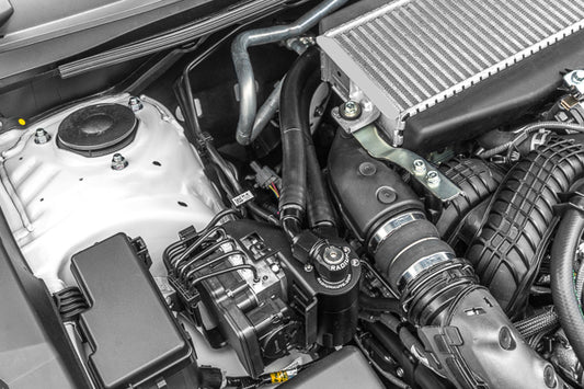 Radium - CCV Fluid Lock Catch Can Kit - WRX VB (22+)